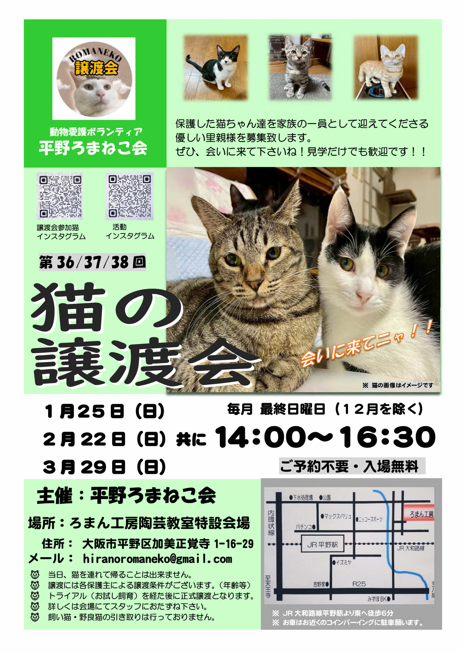 第36回平野ろまねこ譲渡会