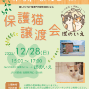 ねこの病院と保護ねこルーム　ぽのいえ保護猫譲渡会