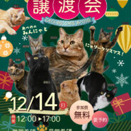 ふれあえる譲渡会 in 大阪市　クリスマスバージョン！