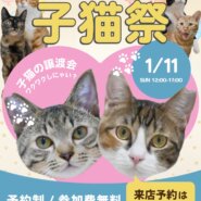 ふれあえる譲渡会 in 大阪市