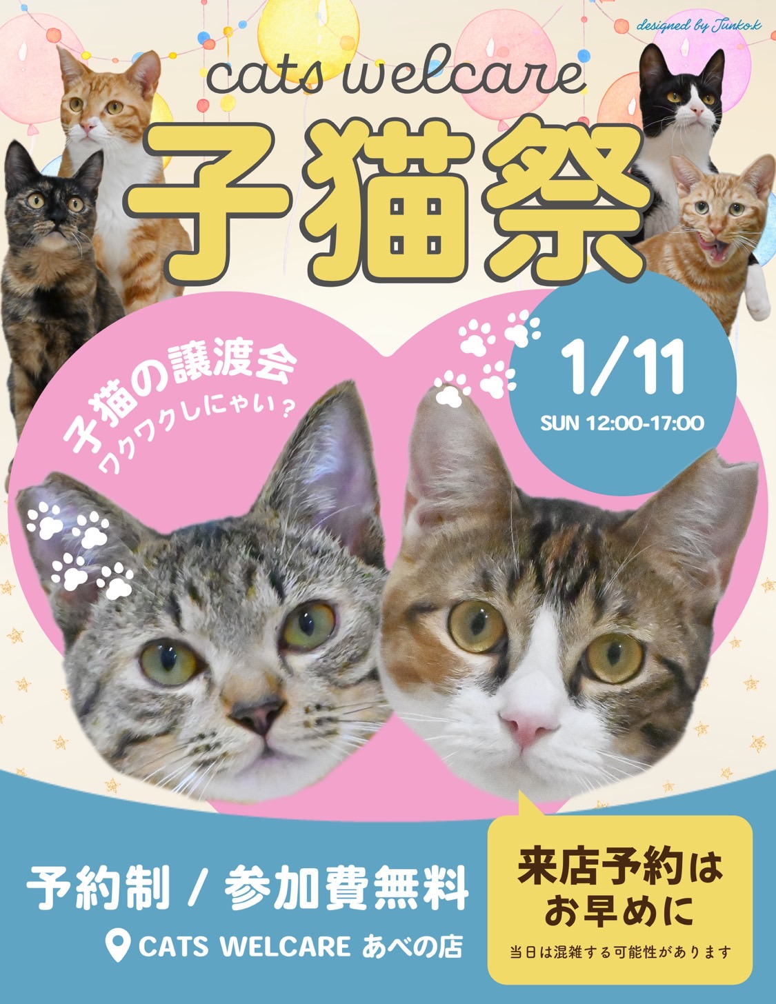 ふれあえる譲渡会 in 大阪市