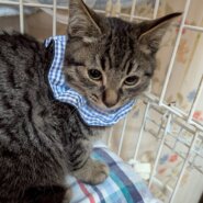 少し怖がりなイーサンくん