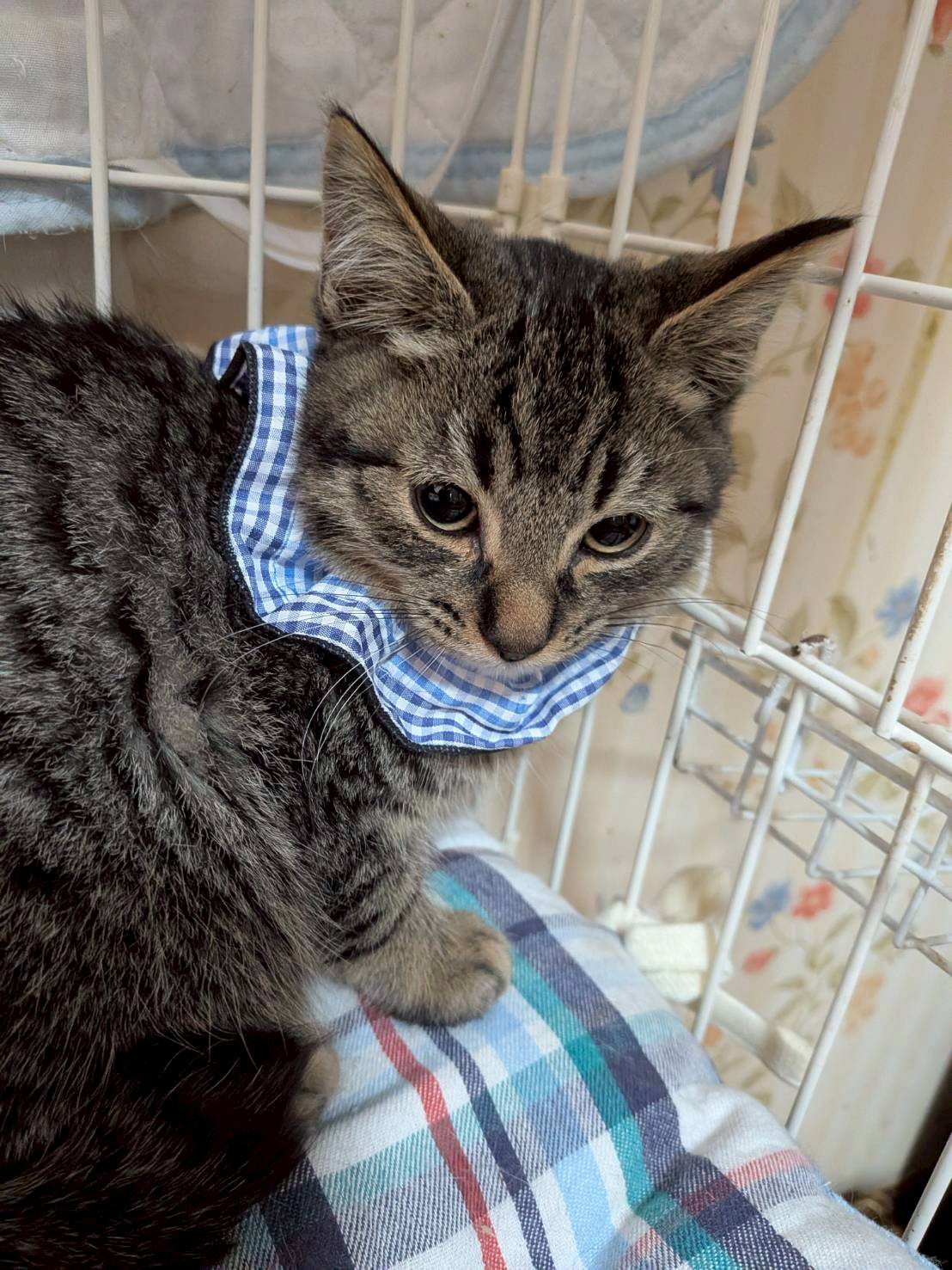 少し怖がりなイーサンくん