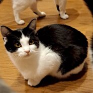 農機具小屋で生まれた　れんくん