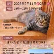 【さいたま市見沼区】2/11㊗ハレノテラス保護猫譲渡会