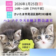 【さいたま市見沼区】1/25(日)ハレノテラス保護猫譲渡会