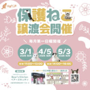 保護ねこの家譲渡会 in 天王寺