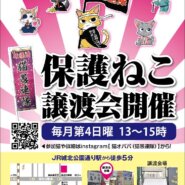 猫愚連隊譲渡会