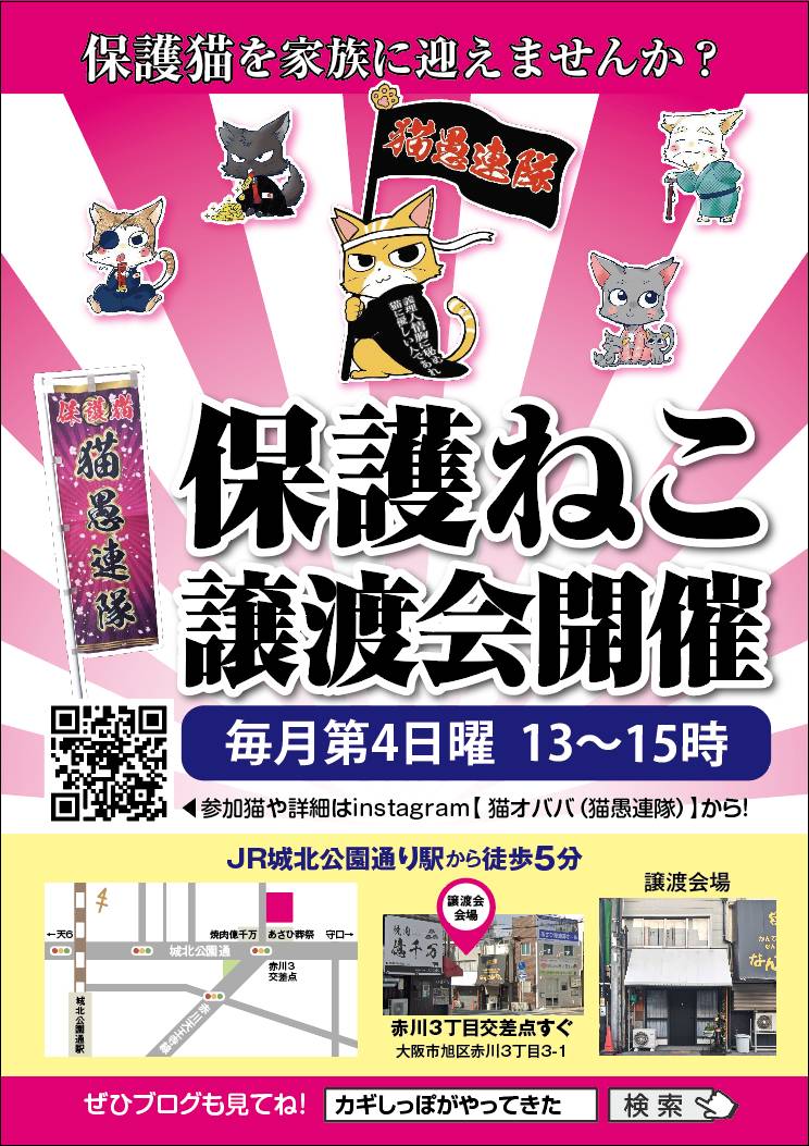 猫愚連隊譲渡会