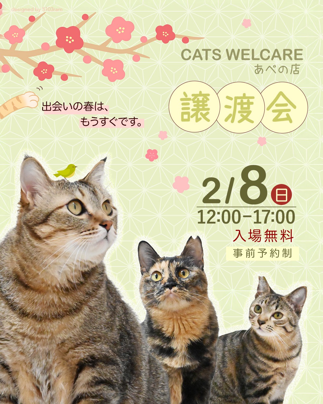 ふれあえる譲渡会 in大阪市