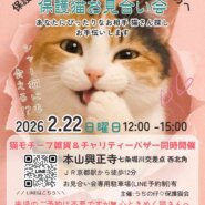 2026年2月22日(日)12：00-