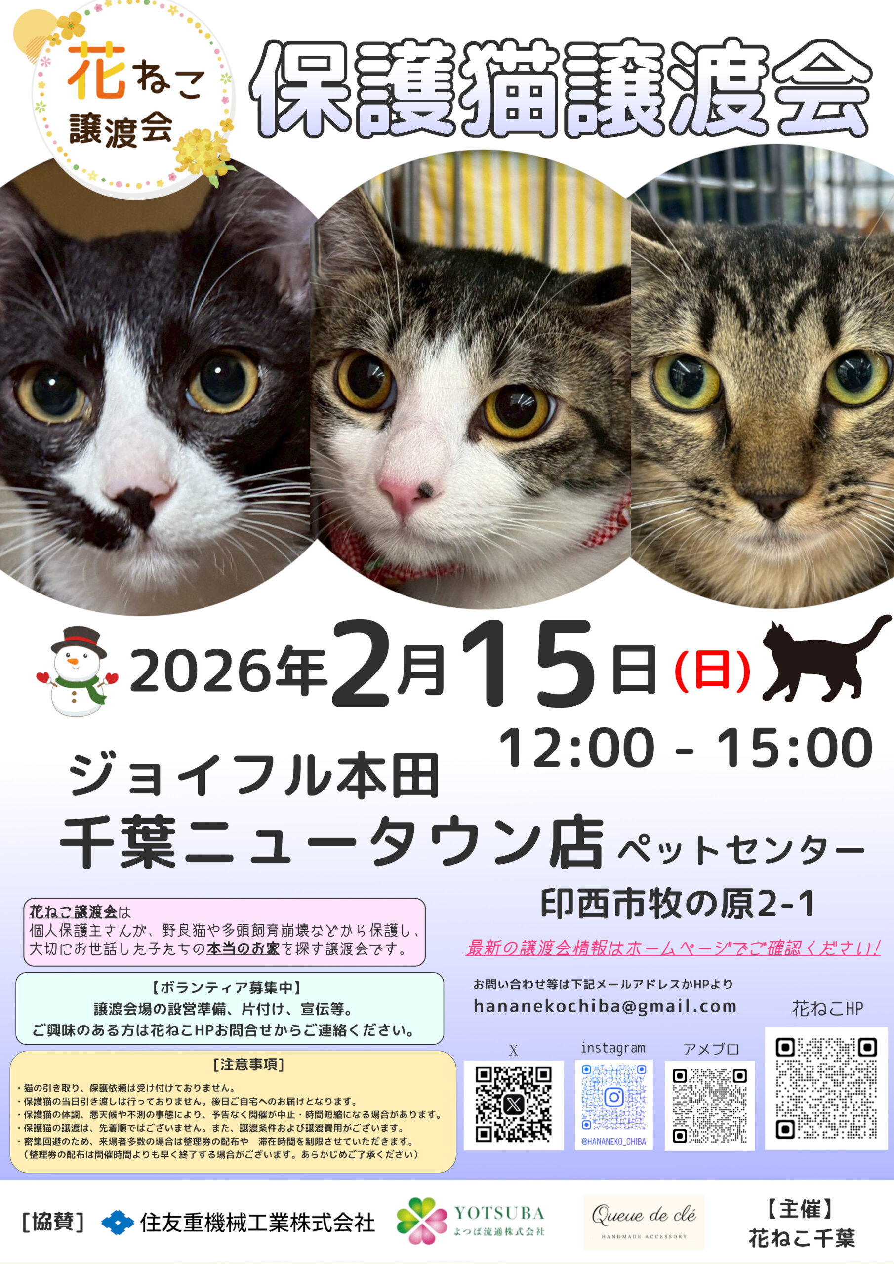 花ねこ譲渡会