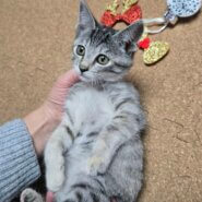 一緒にたくさん遊びたい｢ななちゃん｣