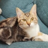 ⭐️2月1日開催⭐️大阪府堺市⭐️プリン⭐️3ヶ月の女の子