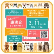 ネコトクラッセ譲渡会