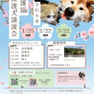 岐阜県関市の保護犬猫譲渡会🐾