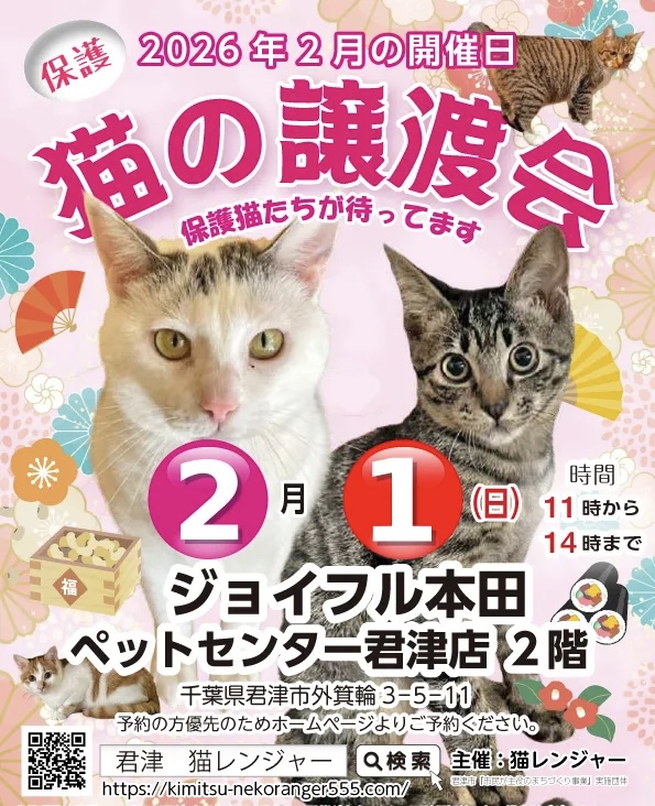 【君津市】保護猫の譲渡会