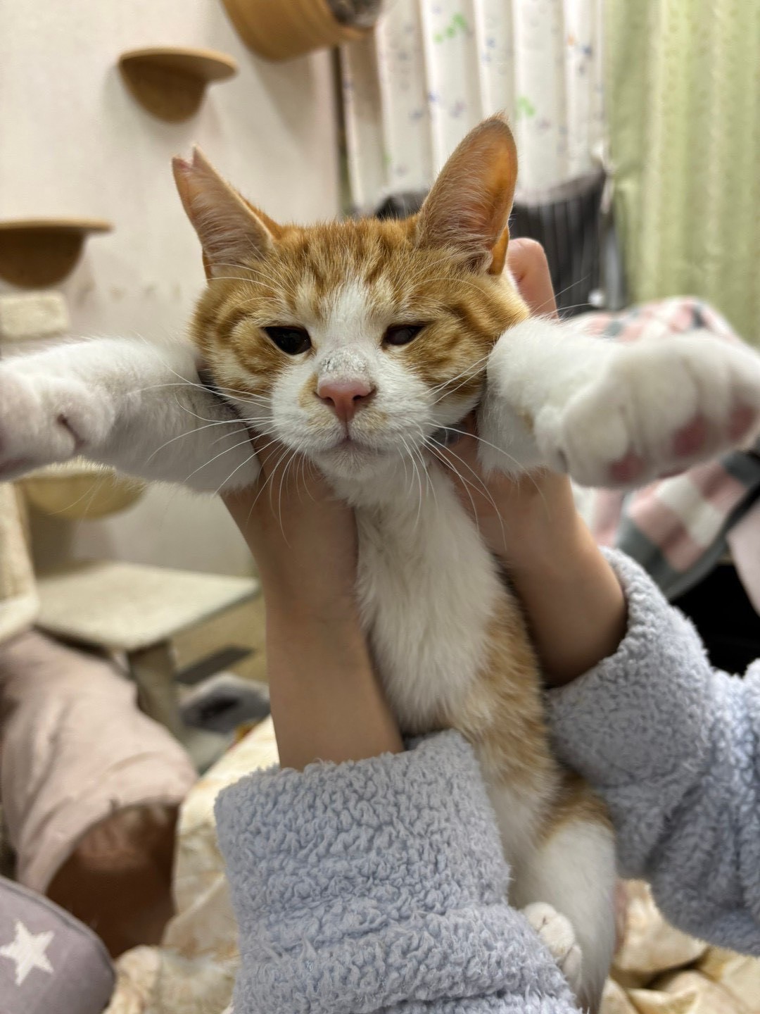 人が大好き！ポンくん