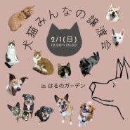 第13回　犬猫みんなの譲渡会（四街道市）