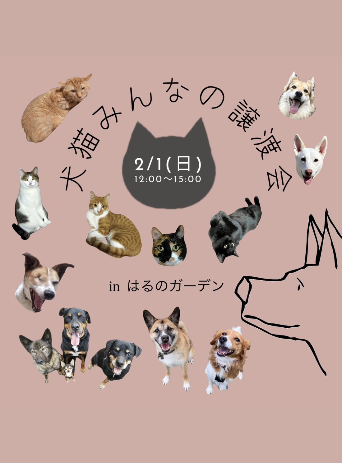 第13回　犬猫みんなの譲渡会（四街道市）