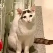 テスト2
