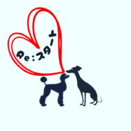 <br />
<b>Warning</b>:  Undefined variable $userID in <b>/home/petwa/pochi-tama.net/public_html/wp-content/themes/pet/single.php</b> on line <b>278</b><br />
Re:スタート