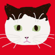 <br />
<b>Warning</b>:  Undefined variable $userID in <b>/home/petwa/pochi-tama.net/public_html/wp-content/themes/pet/single.php</b> on line <b>278</b><br />
NPO法人ねりまねこ