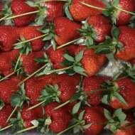 <br />
<b>Warning</b>:  Undefined variable $userID in <b>/home/petwa/pochi-tama.net/public_html/wp-content/themes/pet/single.php</b> on line <b>278</b><br />
グミ🍓