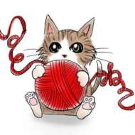 <br />
<b>Warning</b>:  Undefined variable $userID in <b>/home/petwa/pochi-tama.net/public_html/wp-content/themes/pet/single.php</b> on line <b>278</b><br />
いとねこ