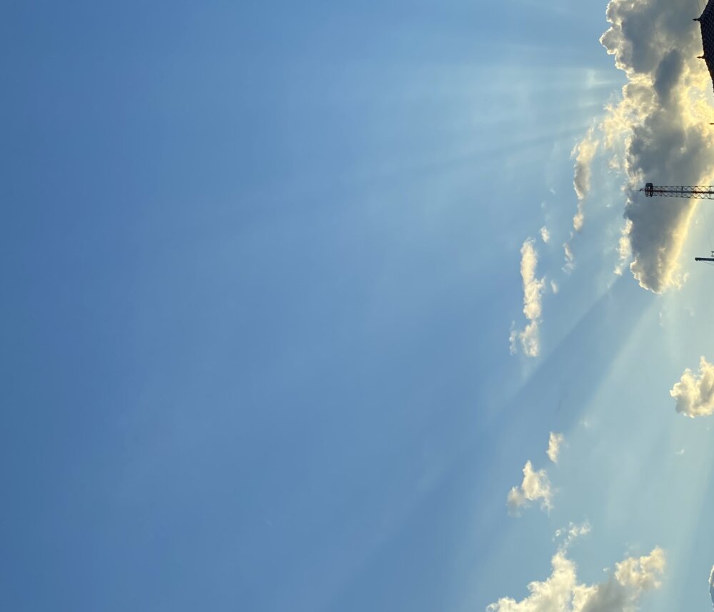 <br />
<b>Warning</b>:  Undefined variable $userID in <b>/home/petwa/pochi-tama.net/public_html/wp-content/themes/pet/single.php</b> on line <b>278</b><br />
はな