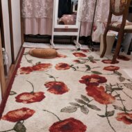 <br />
<b>Warning</b>:  Undefined variable $userID in <b>/home/petwa/pochi-tama.net/public_html/wp-content/themes/pet/single.php</b> on line <b>278</b><br />
はな