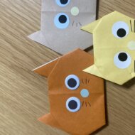 <br />
<b>Warning</b>:  Undefined variable $userID in <b>/home/petwa/pochi-tama.net/public_html/wp-content/themes/pet/single-joutokai.php</b> on line <b>148</b><br />
まゆ