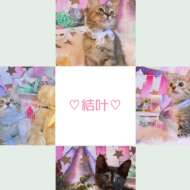 <br />
<b>Warning</b>:  Undefined variable $userID in <b>/home/petwa/pochi-tama.net/public_html/wp-content/themes/pet/single.php</b> on line <b>278</b><br />
🌼 結叶 🌼(いと)