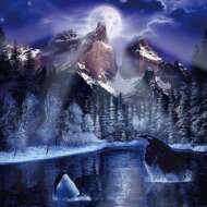 <br />
<b>Warning</b>:  Undefined variable $userID in <b>/home/petwa/pochi-tama.net/public_html/wp-content/themes/pet/single.php</b> on line <b>278</b><br />
きんにゃんまん