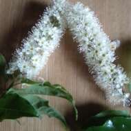 <br />
<b>Warning</b>:  Undefined variable $userID in <b>/home/petwa/pochi-tama.net/public_html/wp-content/themes/pet/single.php</b> on line <b>278</b><br />
まるふく