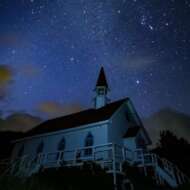 <br />
<b>Warning</b>:  Undefined variable $userID in <b>/home/petwa/pochi-tama.net/public_html/wp-content/themes/pet/single.php</b> on line <b>278</b><br />
ポッポ