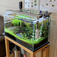 <br />
<b>Warning</b>:  Undefined variable $userID in <b>/home/petwa/pochi-tama.net/public_html/wp-content/themes/pet/single.php</b> on line <b>278</b><br />
空色