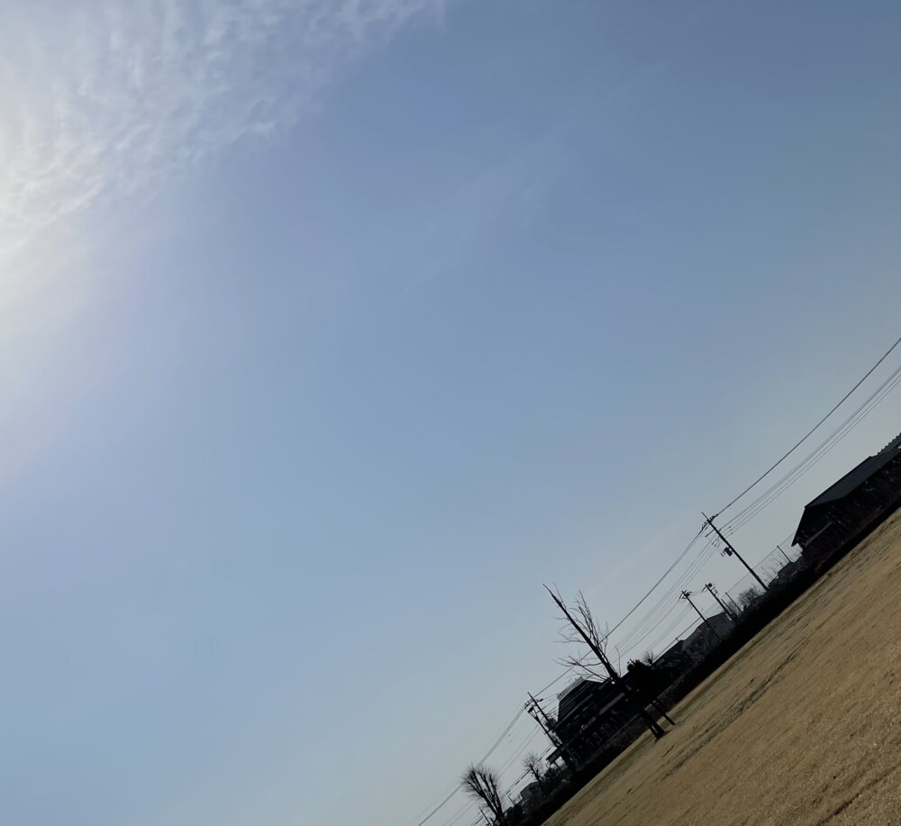 <br />
<b>Warning</b>:  Undefined variable $userID in <b>/home/petwa/pochi-tama.net/public_html/wp-content/themes/pet/single.php</b> on line <b>278</b><br />
あーちゃん