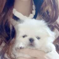 <br />
<b>Warning</b>:  Undefined variable $userID in <b>/home/petwa/pochi-tama.net/public_html/wp-content/themes/pet/single.php</b> on line <b>278</b><br />
おまる