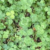 <br />
<b>Warning</b>:  Undefined variable $userID in <b>/home/petwa/pochi-tama.net/public_html/wp-content/themes/pet/single.php</b> on line <b>278</b><br />
ずっとのおうち