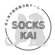 <br />
<b>Warning</b>:  Undefined variable $userID in <b>/home/petwa/pochi-tama.net/public_html/wp-content/themes/pet/single.php</b> on line <b>278</b><br />
SOCKS KAI