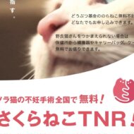 <br />
<b>Warning</b>:  Undefined variable $userID in <b>/home/petwa/pochi-tama.net/public_html/wp-content/themes/pet/single.php</b> on line <b>278</b><br />
ふみ