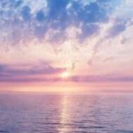 <br />
<b>Warning</b>:  Undefined variable $userID in <b>/home/petwa/pochi-tama.net/public_html/wp-content/themes/pet/single.php</b> on line <b>278</b><br />
猫のお家