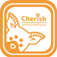 <br />
<b>Warning</b>:  Undefined variable $userID in <b>/home/petwa/pochi-tama.net/public_html/wp-content/themes/pet/single-joutokai.php</b> on line <b>148</b><br />
動物愛護団体チェリッシュ