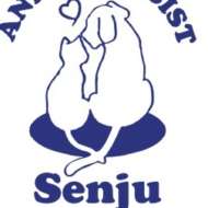 <br />
<b>Warning</b>:  Undefined variable $userID in <b>/home/petwa/pochi-tama.net/public_html/wp-content/themes/pet/single.php</b> on line <b>278</b><br />
アニマルアシスト千手