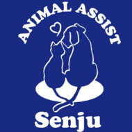 <br />
<b>Warning</b>:  Undefined variable $userID in <b>/home/petwa/pochi-tama.net/public_html/wp-content/themes/pet/single.php</b> on line <b>278</b><br />
千手