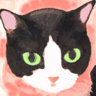 <br />
<b>Warning</b>:  Undefined variable $userID in <b>/home/petwa/pochi-tama.net/public_html/wp-content/themes/pet/single.php</b> on line <b>278</b><br />
ゆめネコ譲渡会