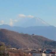 <br />
<b>Warning</b>:  Undefined variable $userID in <b>/home/petwa/pochi-tama.net/public_html/wp-content/themes/pet/single.php</b> on line <b>278</b><br />
犬の工務店