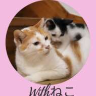 <br />
<b>Warning</b>:  Undefined variable $userID in <b>/home/petwa/pochi-tama.net/public_html/wp-content/themes/pet/single-joutokai.php</b> on line <b>148</b><br />
Withねこ