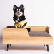 <br />
<b>Warning</b>:  Undefined variable $userID in <b>/home/petwa/pochi-tama.net/public_html/wp-content/themes/pet/single-volunteer.php</b> on line <b>198</b><br />
さー